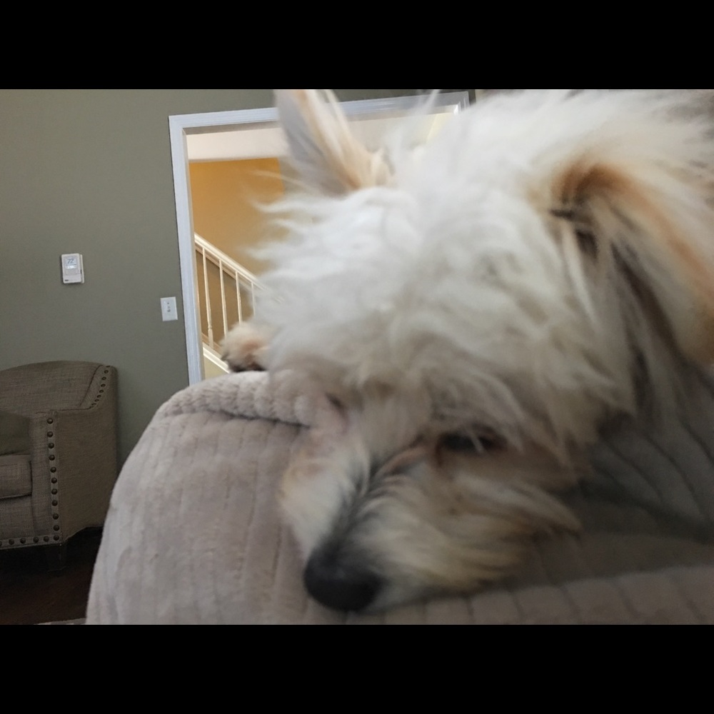 Meet your Posher, Kathryn